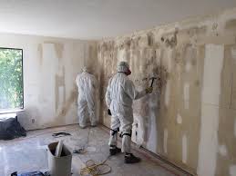 Best Commercial Mold Inspection in Rehobeth, AL